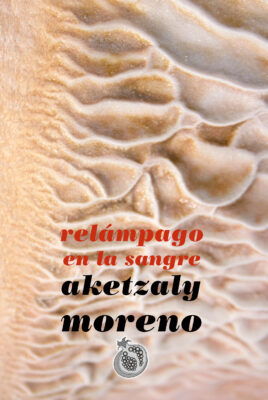 Relámpago en la sangre – Aketzaly Moreno